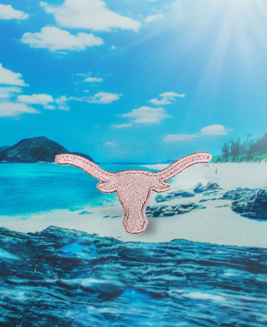 WhatsApp Image 2025-10-10 at 10.31.25 PM Texas Longhorn Embroidery Patch - Image 1